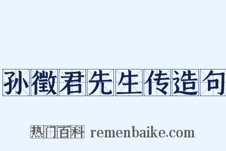 孙徵君先生传造句是什么意思的图片